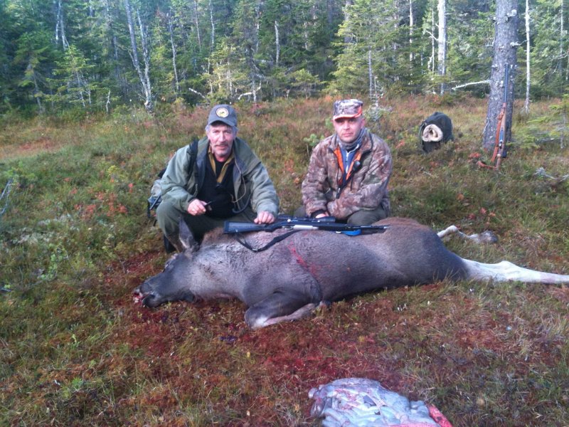 bilde Tor_2.JPG - Fredag felte Henrik en kalv på Klemyra. Han fikk assistanse av Stein for Utvomming. Fotograf er Tor